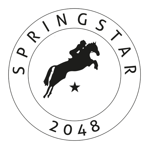 springstar-logo-final-schwarz-small
